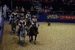 Quadrille - 00648